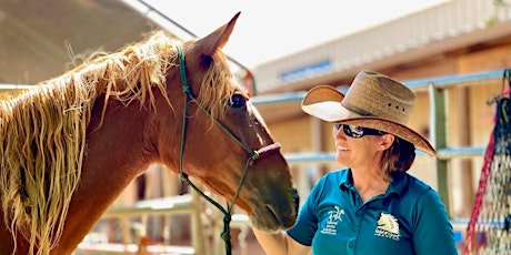 Student of the Horse: Foundation Course to Natural Horsemanship