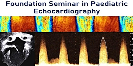 Foundation Seminar in Paediatric Echocardiography