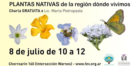 Imagen principal de PLANTAS NATIVAS DE LA REGIÓN DONDE VIVIMOS