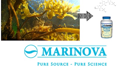 Marinova plant tour with the RACI primary image