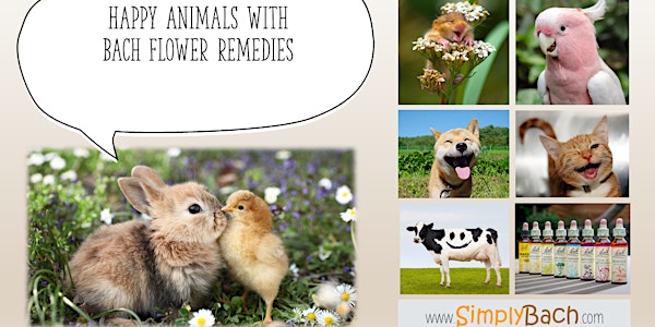 Happy Animals with Bach Flower Remedies