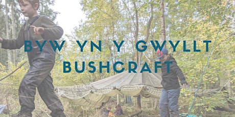 Byw yn y gwyllt/Bushcraft (Summer of Fun)