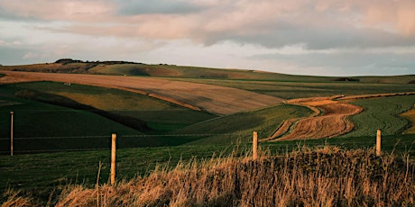 White Sheet Hill | Wiltshire | 11km hike (Women only)