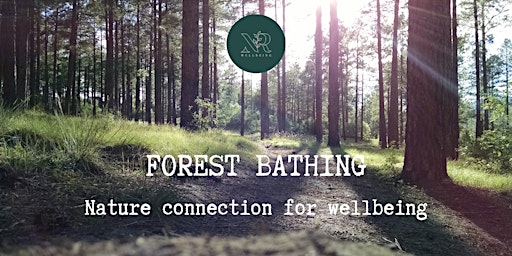 Forest Bathing at Formby