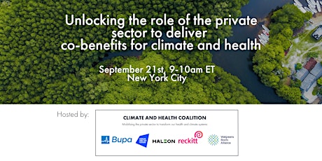 Unlocking private sector action to deliver co-benefits for climate & health primary image