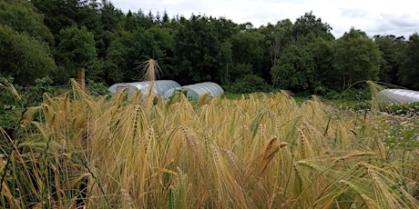 The Grain Chain:  Arable Crops in Market Gardens