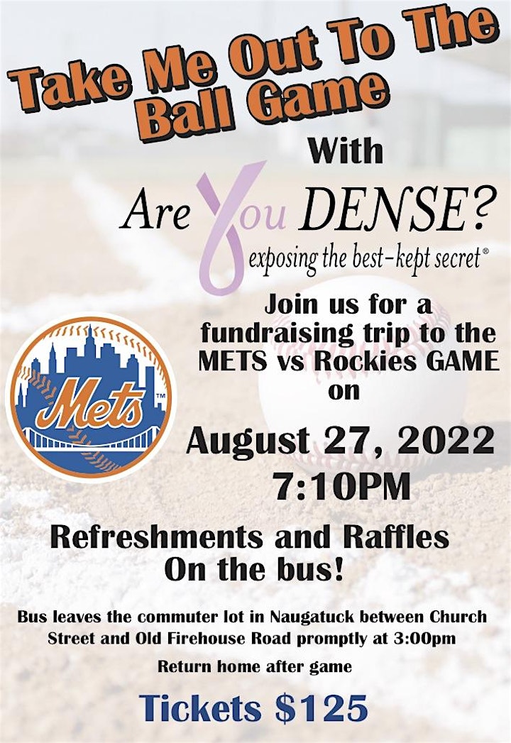 Fundraising Trip to METS vs Rockies Game with Are You Dense, Inc image