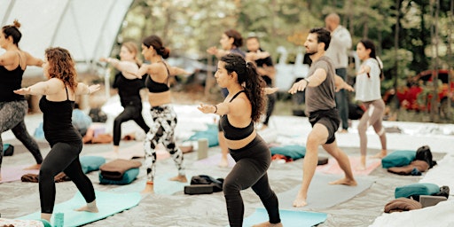 Yoga, Movement & Life Celebration 1-day Retreat