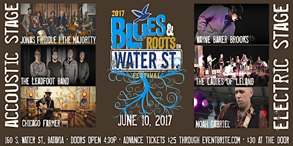 The 2017 Blues and Roots on Water Street festival