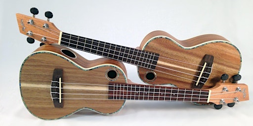 Wellbeing Ukulele  8 week  beginners course  £40. (2 hours lessons £5 pw)