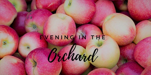 Evening in the Orchard