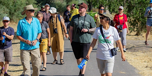 Let's Go Birding Together @ Silver Lake with Cottonwood Canyons Foundation