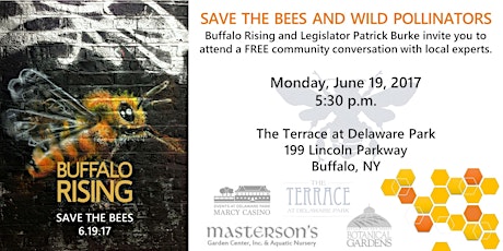 SAVE THE BEES AND WILD POLLINATORS primary image