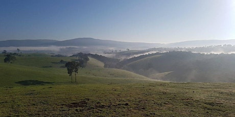 Kinglake Loop primary image