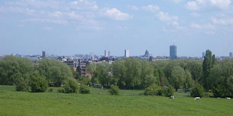 Primaire afbeelding van "Parcking" - Ontdek de Brusselse parken in de buurt van Dilbeek