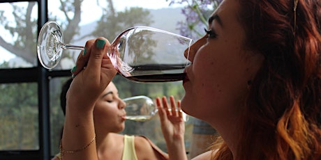 Hauptbild für Wein Pairing Spitzenrotweine Spaniens (Festland) vs. Mallorca