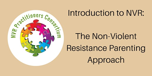 Imagen principal de Introduction to NVR for Parents and Carers
