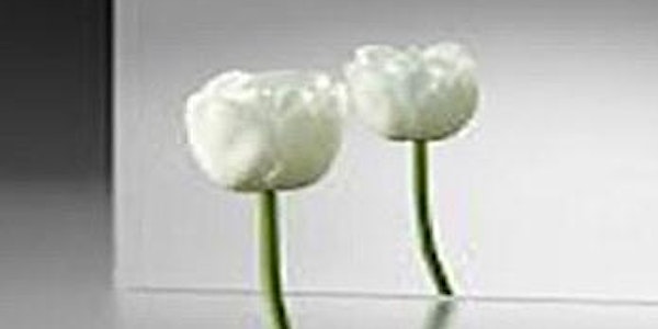 Clearing Your Inner World: Flowering Heart Path, Module 2
