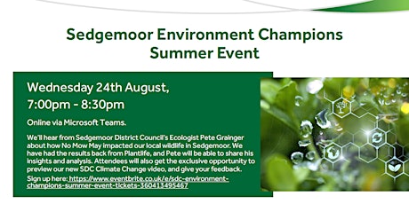 SDC Environment Champions Summer Event