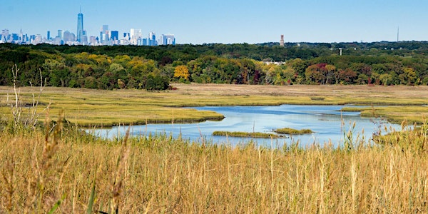 Run Freshkills Park with New York Road Runners