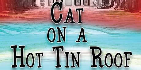 Cat on a Hot Tin Roof primary image