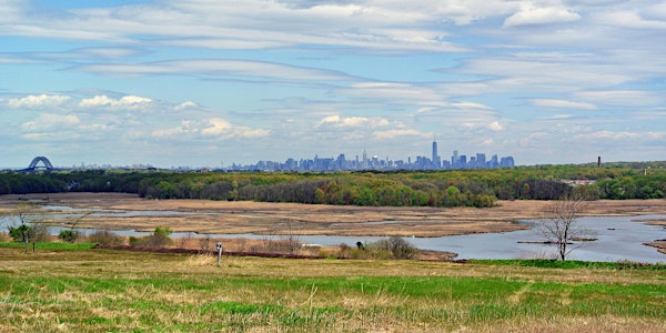 Run Freshkills Park with New York Road Runners