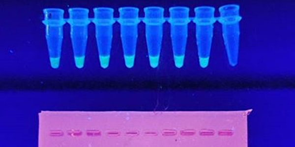 Biotech Crash Course