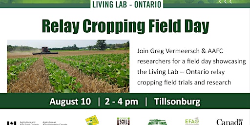 Relay Cropping Field Day