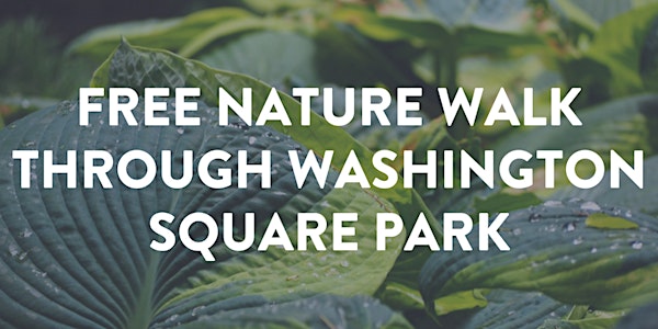 Free Nature Walk Through Washington Square Park