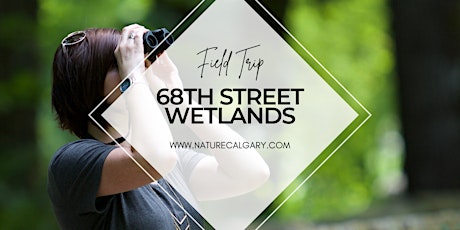 Nature Calgary Birding - 68th Street Wetlands