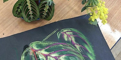 Pop-up plant drawing class