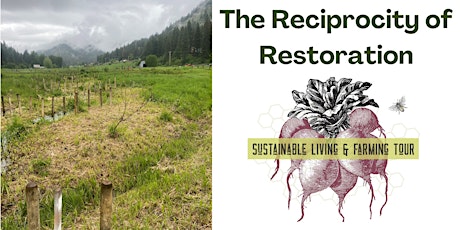 The Reciprocity of Restoration