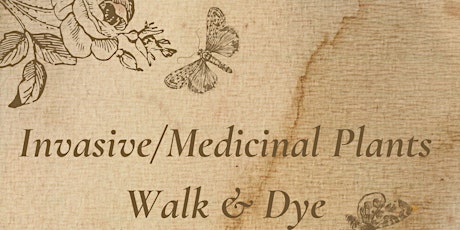 Invasive/Medicinal Plants & Dye Walk primary image
