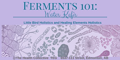 Ferments 101: Water Kefir & Gut Health primary image