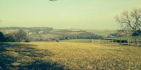 TRJ in Trelawnyd - 8 Years