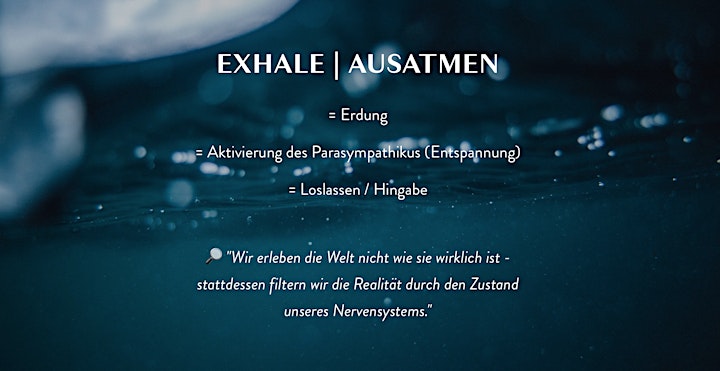 EXHALE in HAMBURG Breathwork für Transformation &  Nervensystemregulierung: Bild 