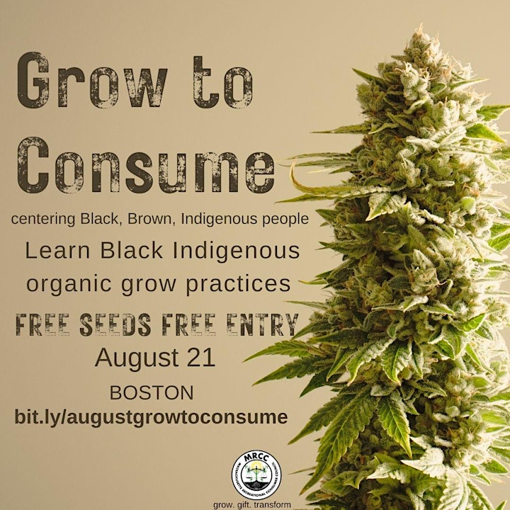 Grow to Consume August Workshop: Centering Black, Brown, Indigenous People image