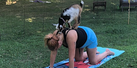 Goat Yoga - A Sunday Series