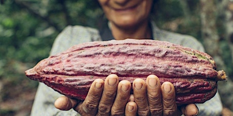 Explore the Spiritual & Physical Benefits of Cacao