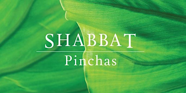 Shabbat Pinchas with Michael Berg   