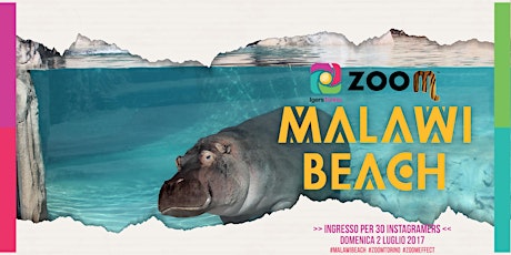 Immagine principale di MALAWI BEACH - ZOOM TORINO 