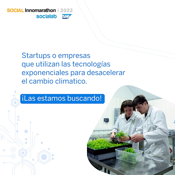 Imagen de Ecosistema de Negocios SAP: Oportunidades de Crecimiento para tu Empresa