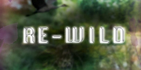 Re-Wild Opening Event