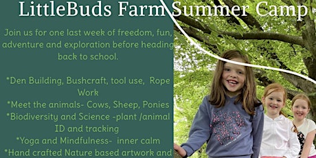 LittleBuds Farm Summer Camp
