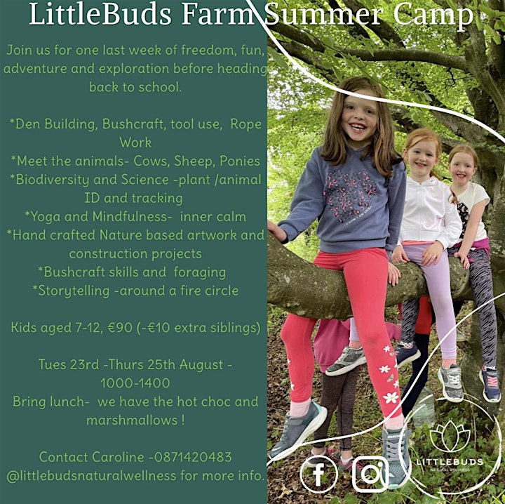 LittleBuds Farm Summer Camp image