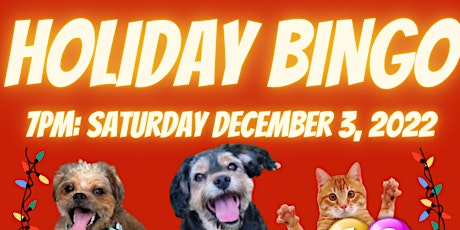 Posh Pets Rescue Holiday Bingo