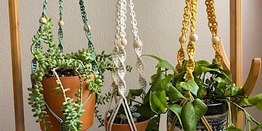 beginner macrame: plant hangers