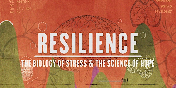 Resilience The Biology of Stress & The Science of Hope 
