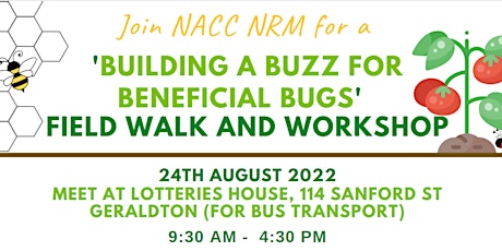 Hauptbild für 'Building a Buzz' Field Walk and Workshop
