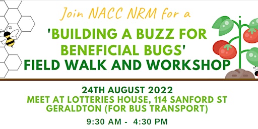 'Building a Buzz' Field Walk and Workshop